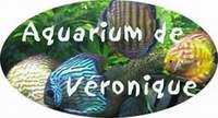 Le site de Véronique Ivanov
